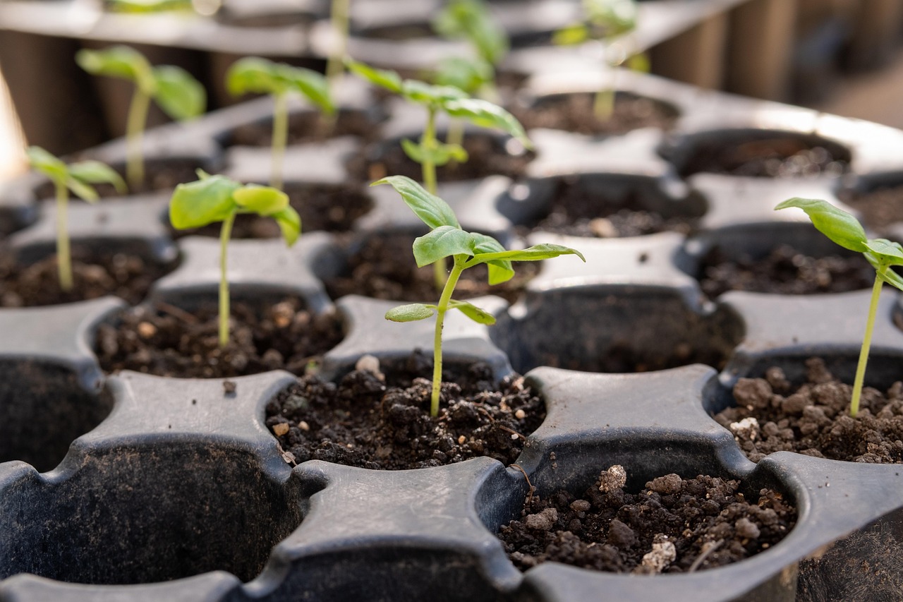 Zelf vloeibare plantenvoeding maken