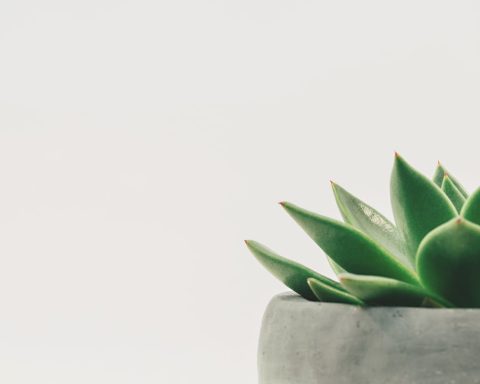 Wat zijn de nadelen van slimme bloempotten