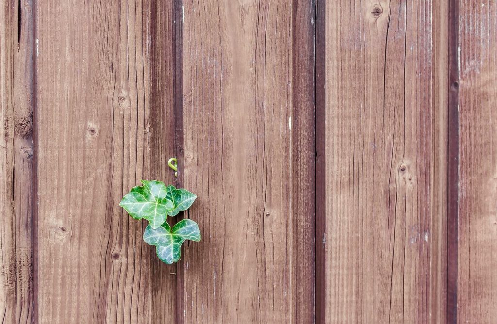Een sterke tuin begint bij de juiste houtkeuze