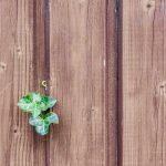 Een sterke tuin begint bij de juiste houtkeuze