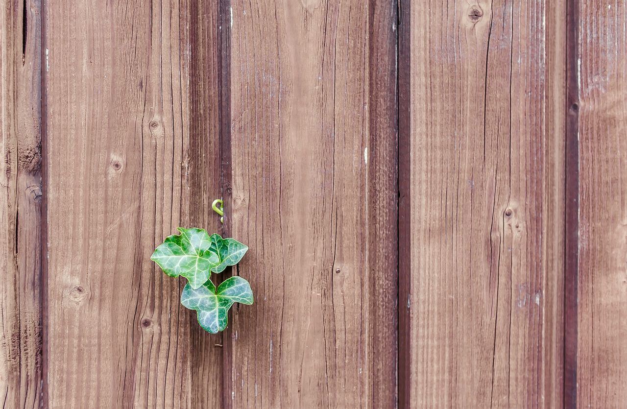 Een sterke tuin begint bij de juiste houtkeuze