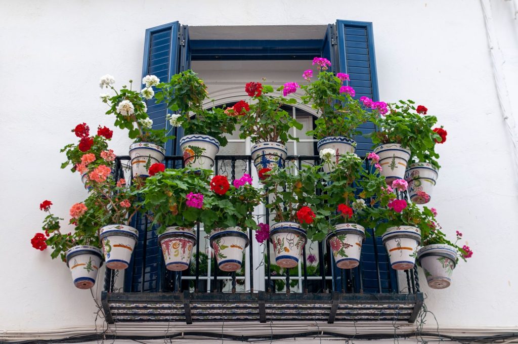 Geraniums in potten op een balkon