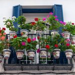 Geraniums in potten op een balkon