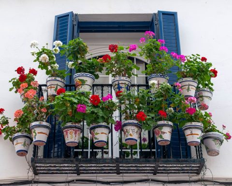 Geraniums in potten op een balkon